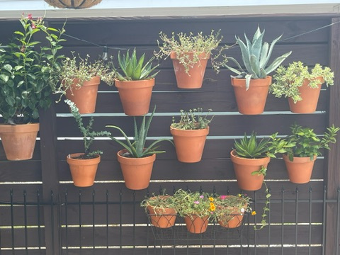 indoor wall planter flowers