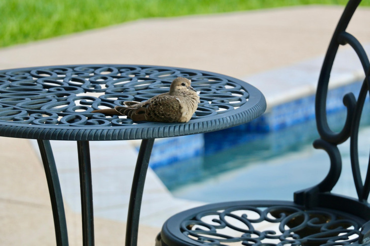 patio furniture outdoor set